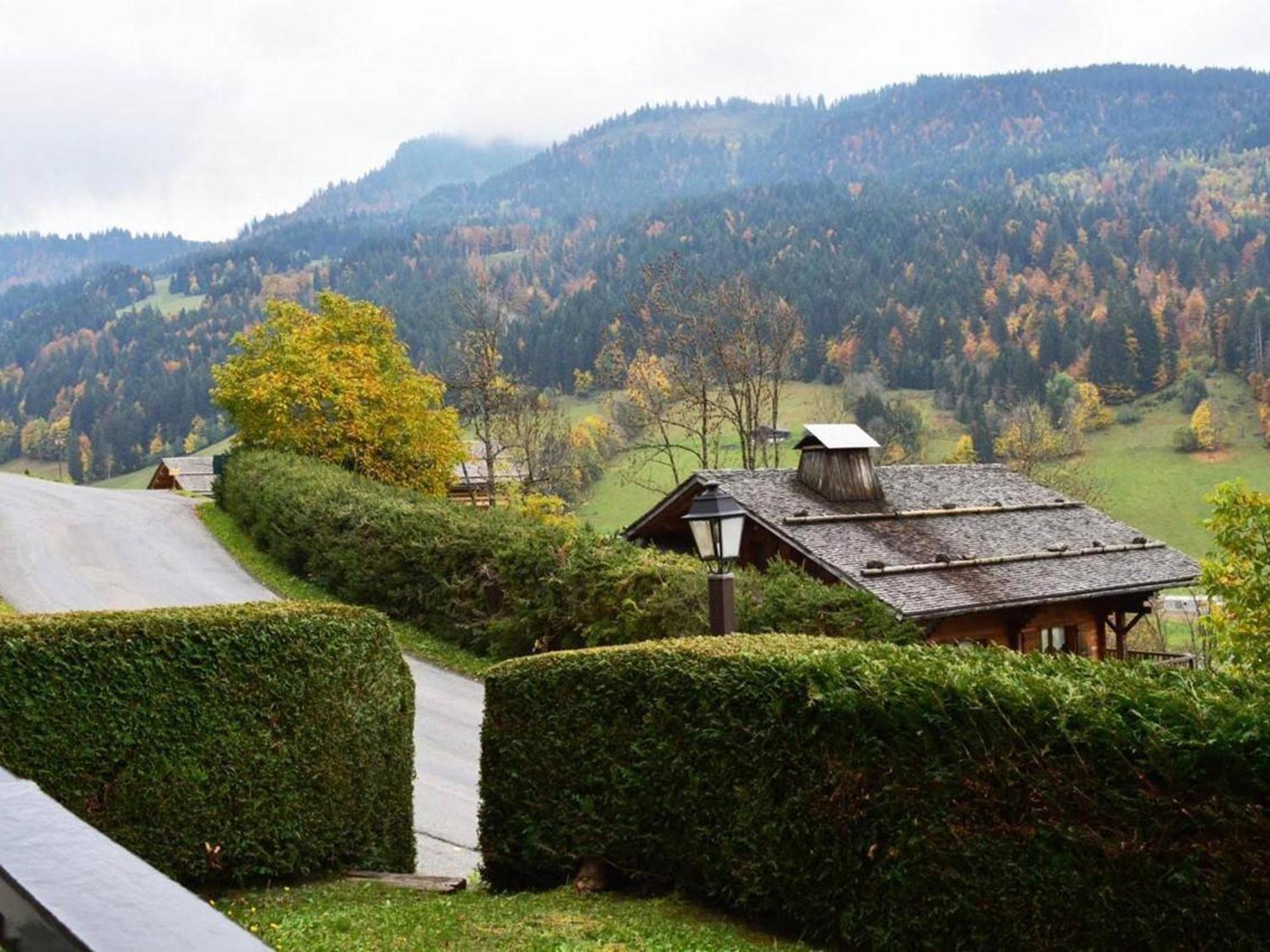 Studio En Rez-De-Jardin Pour 4 Avec Parking Couvert, A 500M De La Telecabine - Le Grand-Bornand - Fr-1-241-80 Екстериор снимка